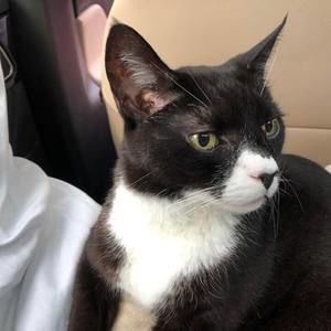 Meet your Posher, Penny